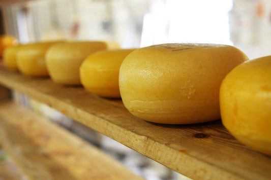 Top Low Lactose Cheeses