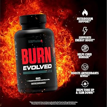 Burn Evolved-recensies