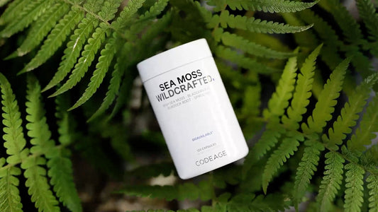 Codeage Sea Moss Review